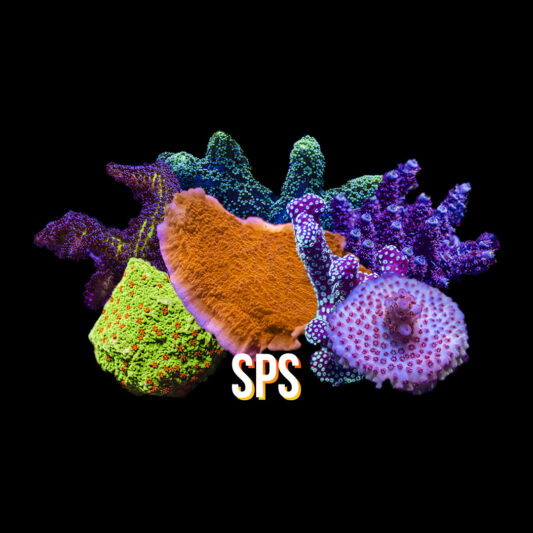 SPS